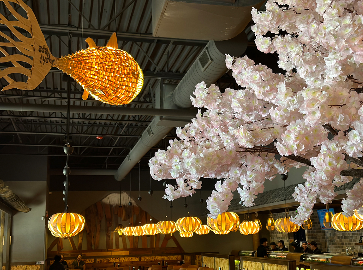 Sushi Masa Sugarland, TX